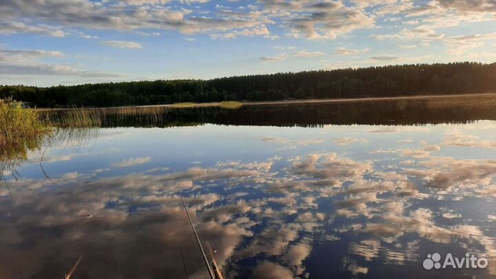 Рыбалка на Рыбинском водохранилище