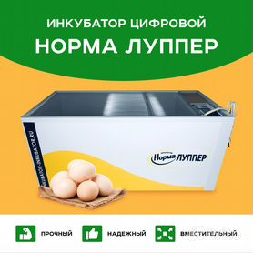 Инкубаторы для гусиных яиц купить по низким ценам с доставкой