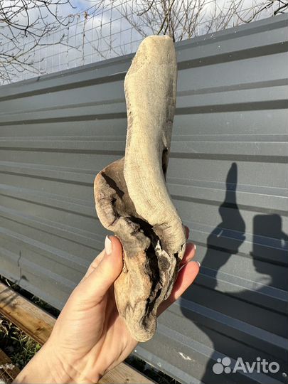 Коряги дрифтвуд набор