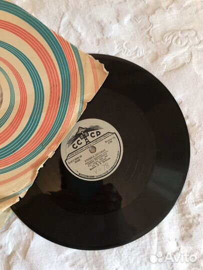 Уточка луговая Русланова,есть другие поастинки