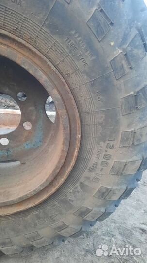 Forward Traction 12 R18