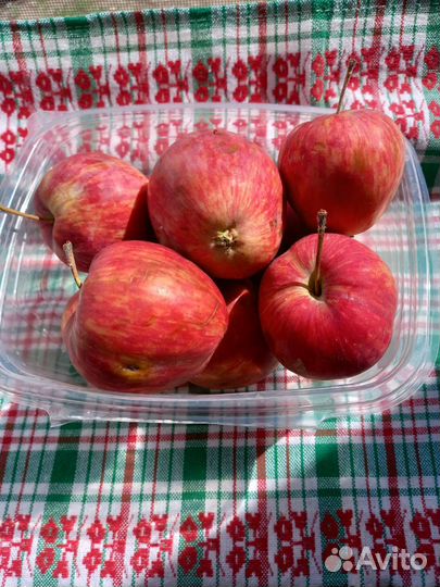 Яблоки