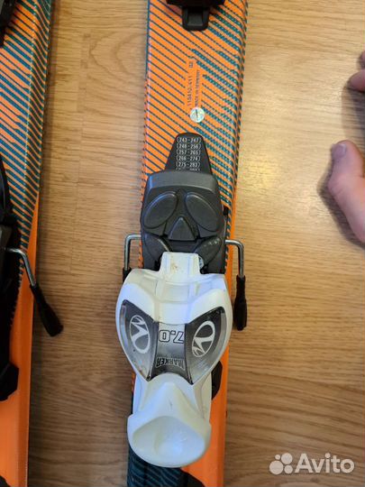 Горные лыжи