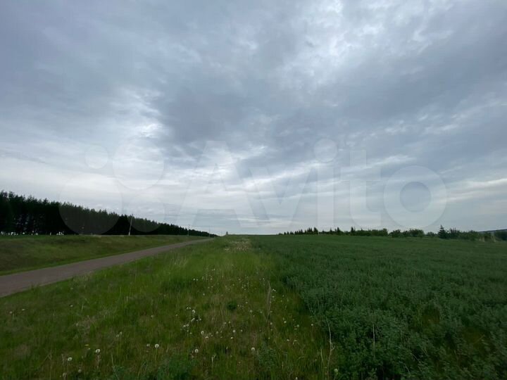 Участок 25 га (СНТ, ДНП)