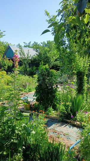 Дом 12,7 м² на участке 6,9 сот.