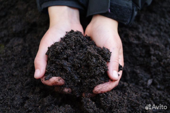 Грунт, чернозем с доставкой