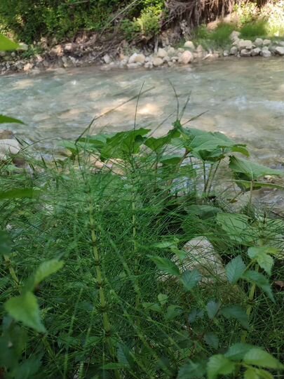 Участок 1,4 га (ИЖС)