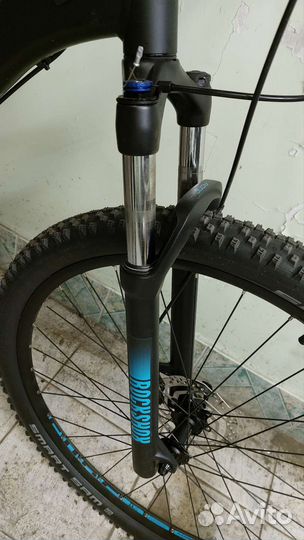 Cube Analog RS 29 2021 XXL, 23 дюйма, 58 см