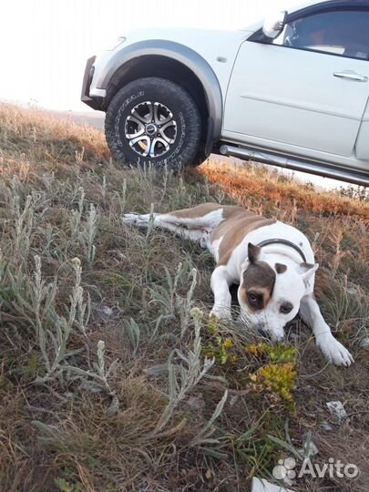 Кабель для вязки