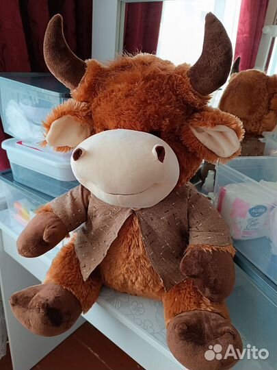 Обмен на цветы