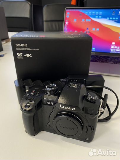 Panasonic Lumix GH5 + V-Log