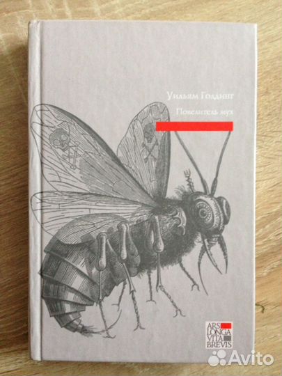 Книга Повелитель мух. Шпиль