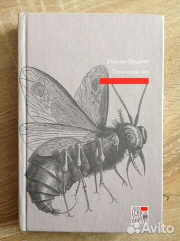 Книга Повелитель мух. Шпиль