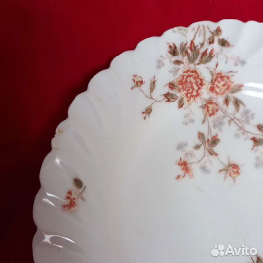 Тарелки. Граф Гаррах