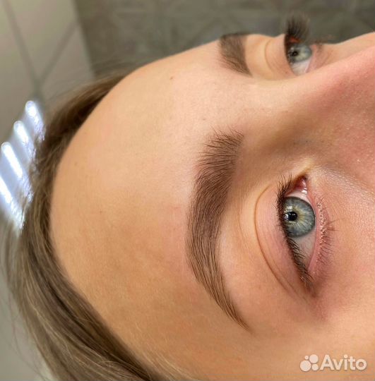 Обучение мастер бровист