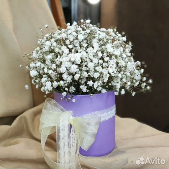 Букет из гипсофилы в коробке