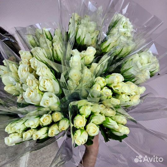 Цветы розы 21 51 71 101 201 опт