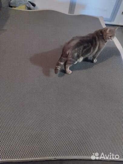 Эва листы для ковриков