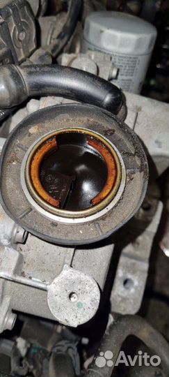 Двигатель Volkswagen Jetta 5 CAV