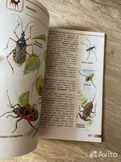 Атлас определитель плешаков