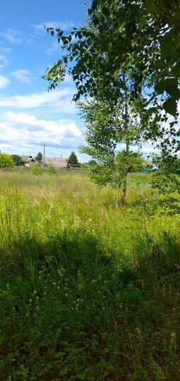 Участок 10,6 сот. (ИЖС)