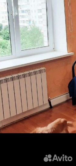 Обогреватель электрический настенный