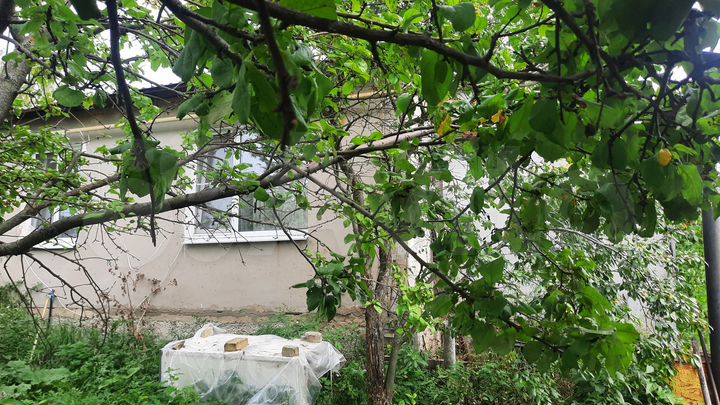 Дом 65 м² на участке 35 сот.