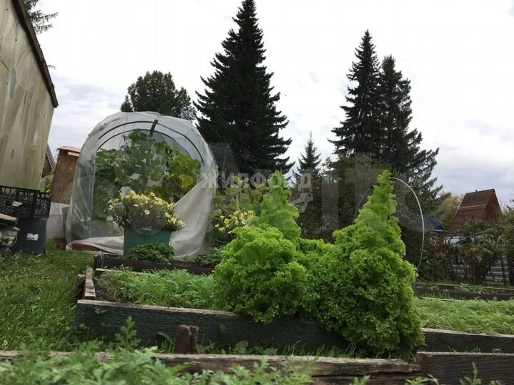 Дача 60 м² на участке 4,9 сот.