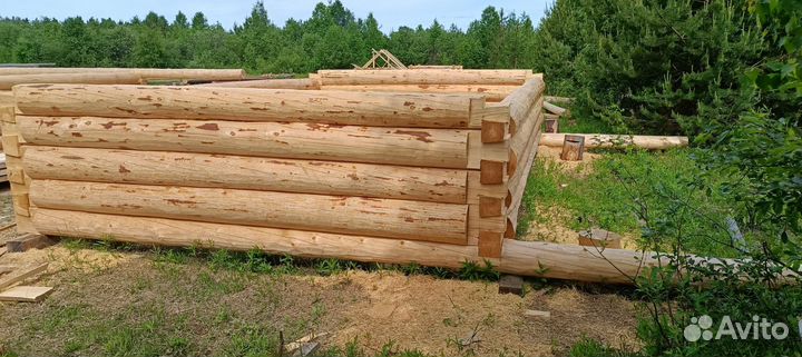 Сруб дома и бани