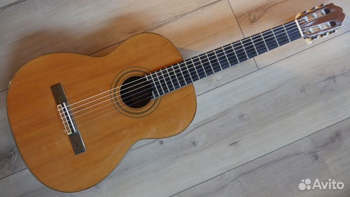 Полный массив Takamine 10, made in Japan 1984