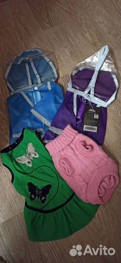 Одежда для собак