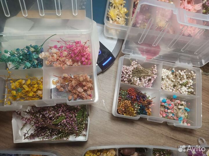 Сухоцветы для творчества, смолы