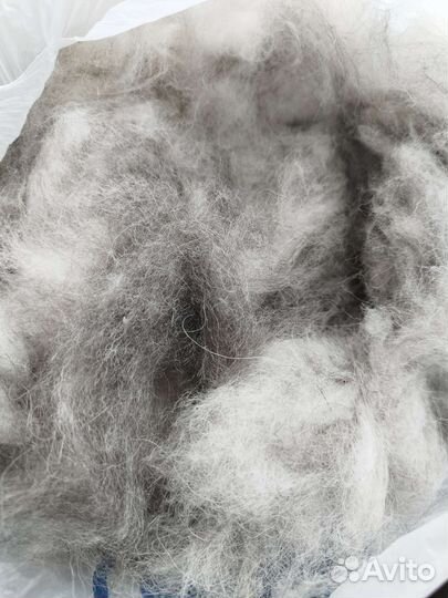 Собачий пух