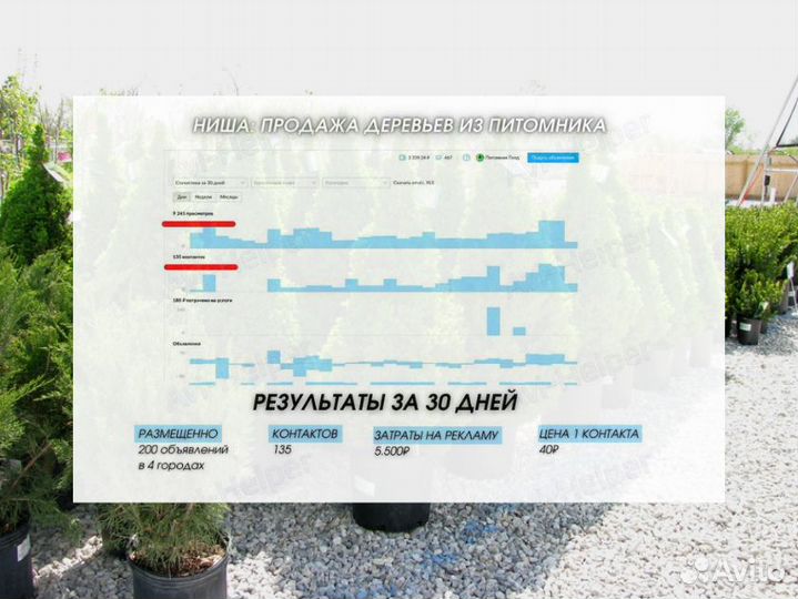 Авитолог / Услуги Авитолога