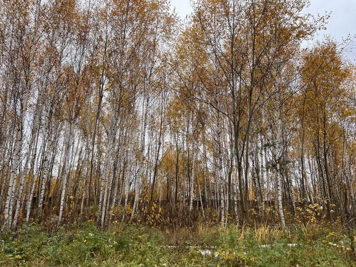 Участок 8,7 сот. (СНТ, ДНП)