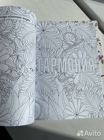 Набор новых раскрасок для взрослых и детей