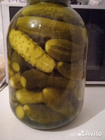 Огурцы, помидоры соленые