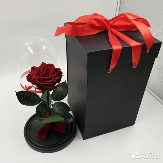 Розы в колбе. Гарантия производителя