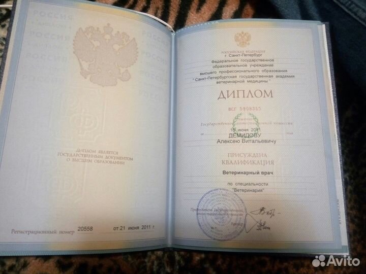 Полная Стерилизация кошки