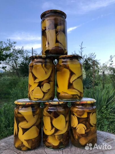 Грибы маринованные