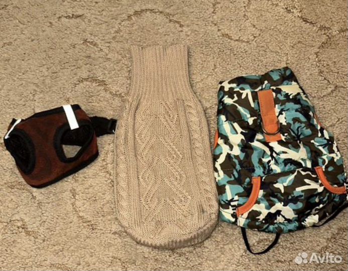 Одежда для собак