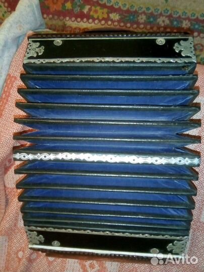 Саратовская гармонь