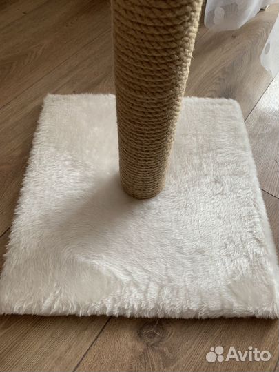 Когтеточка