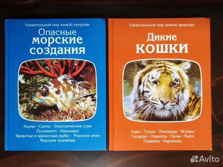 Мир животных