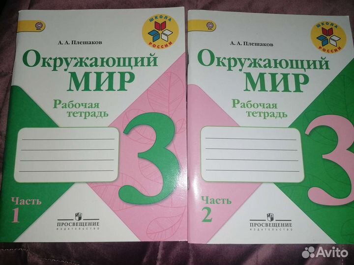 Рабочая тетрадь 3 класс окружающий мир