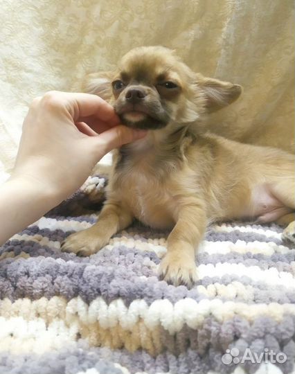 Нарядный мальчик