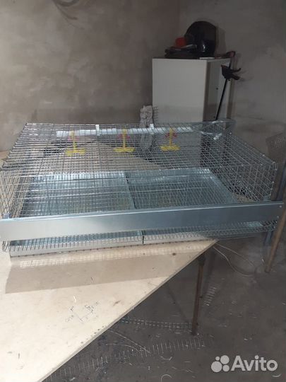 Клетки для перепелов