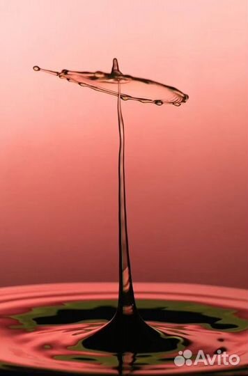 Miops Splash съемка капель воды