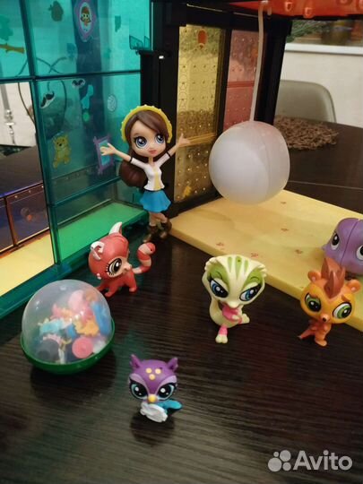 Littlest Pet Shop