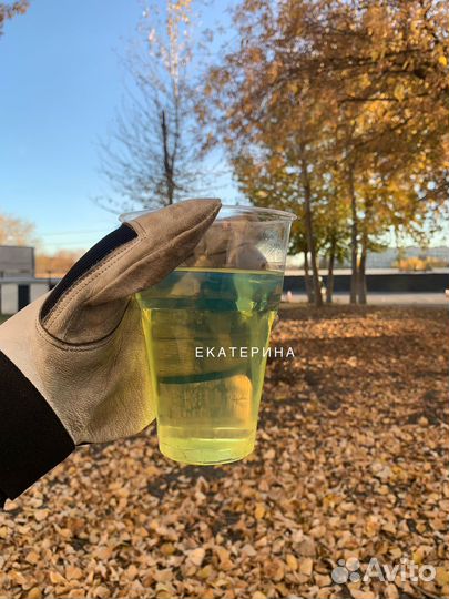 Дизельное топливо Евро Роснефть оптом